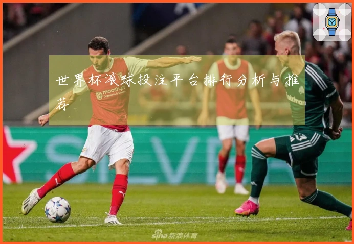 世界杯滚球投注平台排行分析与推荐