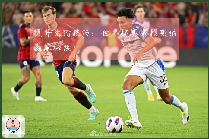 提升竞猜技巧，世界杯赛事预测的赢家秘诀