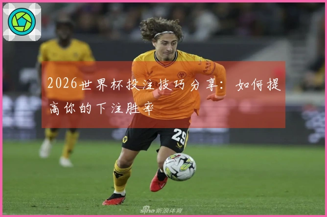 2026世界杯投注技巧分享：如何提高你的下注胜率