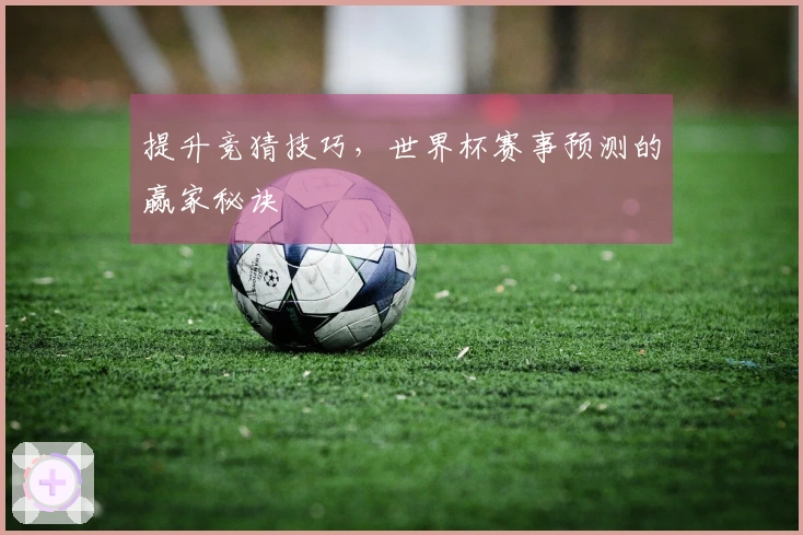 提升竞猜技巧，世界杯赛事预测的赢家秘诀