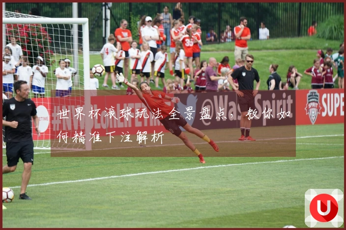 世界杯滚球玩法全景盘点，教你如何精准下注解析