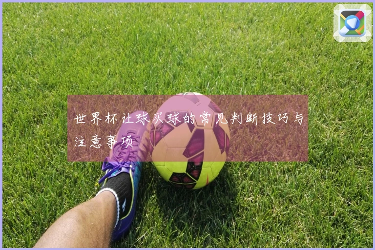世界杯让球买球的常见判断技巧与注意事项