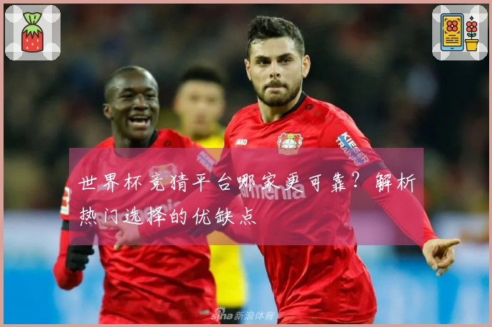 世界杯竞猜平台哪家更可靠？解析热门选择的优缺点